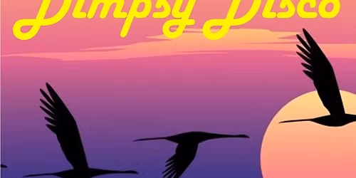 Dimpsy Disco - Terrace Party 