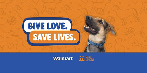 Give Love. Save Lives Pet Adoption Event Richmond