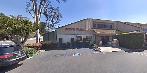Laguna Niguel - Dog dental cleaning