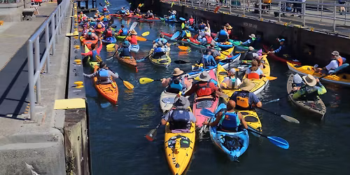 NW Kayaking Ballard Locks Memorial Day Weekend Paddle 