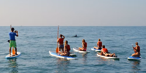 Dolphin Drift: SUP Yoga