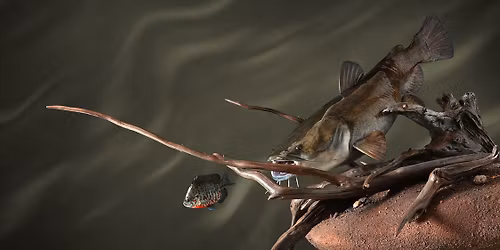 St. Paul Ice Fishing & Winter Sports Show