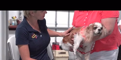 Therapy Dog Testing (Free)