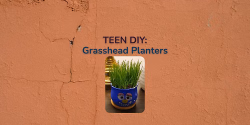Teen DIY: Grasshead Planters