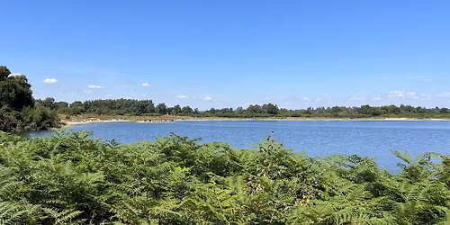 Lagoon Walk\u2013 an exclusive opportunity to preview of our New Viewing Screen