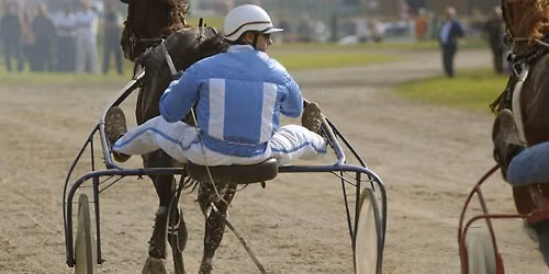 Harness Racing - Mixed 2YO & 3YO (8 Races)