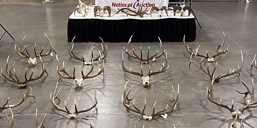 Wildlife Auction