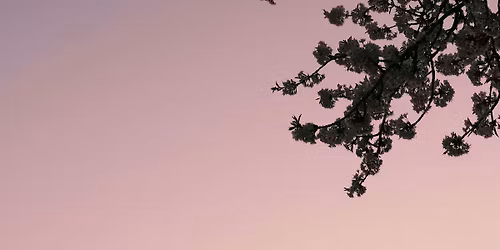 Decorate a Flower Pot and Celebrate Spring on the New Blue Moon