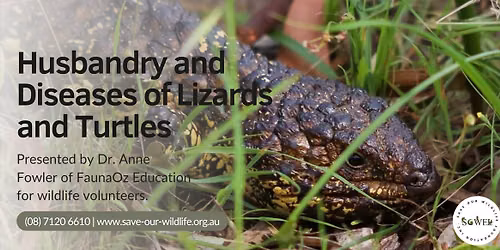Husbandry and Diseases of Lizards and Turtles presented by Dr. Anne Fowler