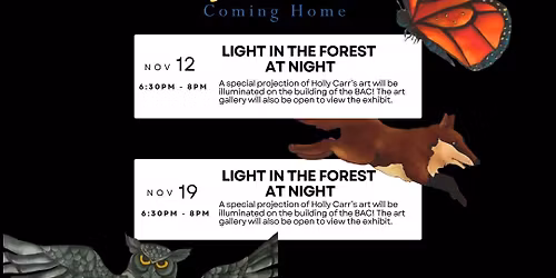 Light in the Forest AT NIGHT