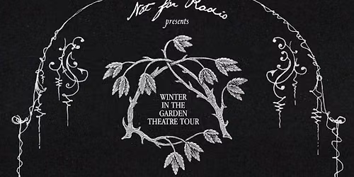 Not For Radio at Paramount Theatre Seattle