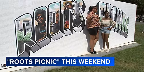 Parking A Roots Picnic Experience