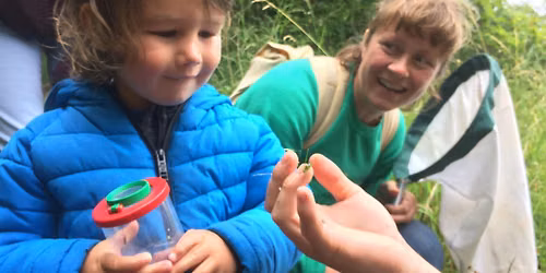 Bug Safari