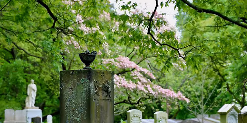 Book Club: H is for Hawk by Helen Macdonald