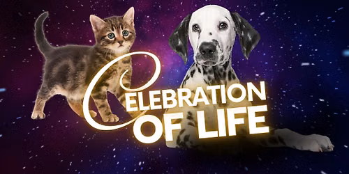 2026 Celebration of Life Gala