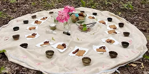 Guided Shinrin-yoku: Rest & Reconnect in Nature