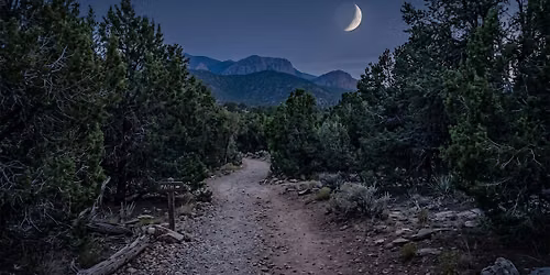 Moonlight & Intention: A New Moon Gathering