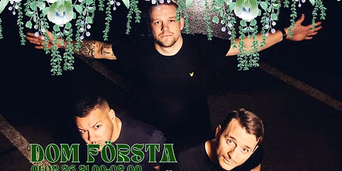 Dom F\u00f6rsta p\u00e5 Bolln\u00e4s Folkets park 1 augusti