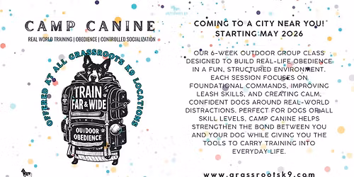 Camp Canine - St. Augustine