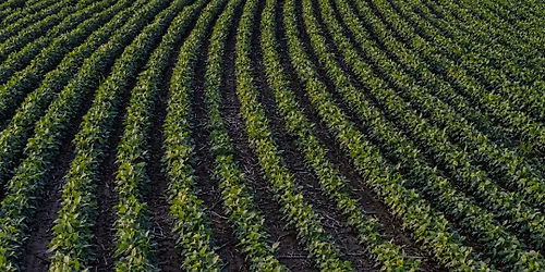 Co-Designing Smart Farming Solutions Using 3D Printing