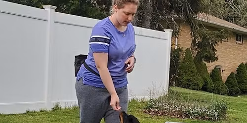 Puppy Training for Life Class (pups 10 wks-6 mths)