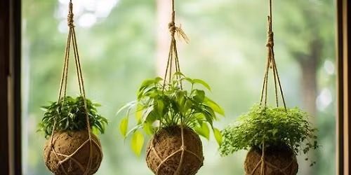 Women of Wildwood: KOKEDAMA