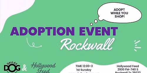 Hollywood Feed- Rockwall