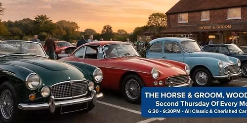 New Forest Cherished Car Group Monthly Meet