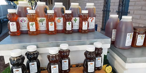 FREE Raw Local Honey Tasting. Yummmm