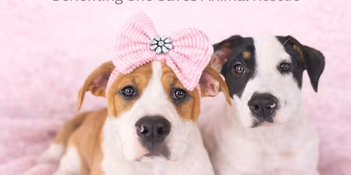 ASD Puppy Yoga benefiting She Saves Rescue