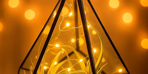 Holiday Sparkle Terrariums