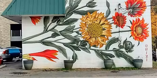 The Original Raleigh Murals Tour