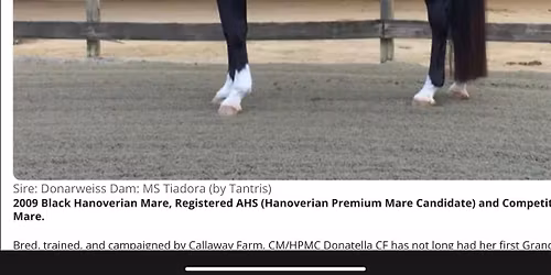 March - Winter Dressage Clinic with Kim Kobryn of Callaway Farm