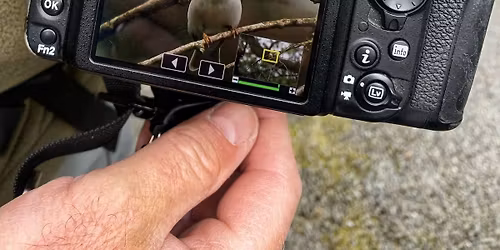 Improvers Wildlife Photography Workshop