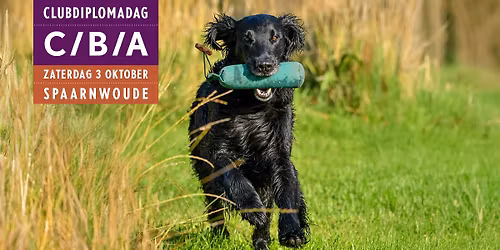 CDD \u2013 Club Diplomadag C, B, A
