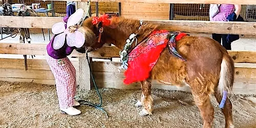 Mini Horse Moments Summer Camps Ages 4-8 (June 16th, 17th, and 18th)