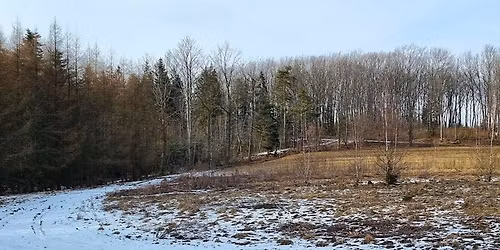 \u201eZdobywamy Odznak\u0119 Ma\u0142ego Szlaku Beskidzkiego zim\u0105\u201d Etap 6.