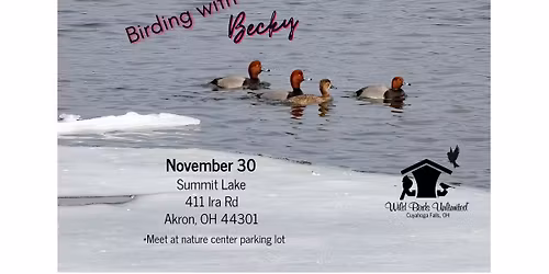 Birding with Becky- Summit Lake