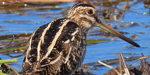 Your Biggest Year Yet Field Trip