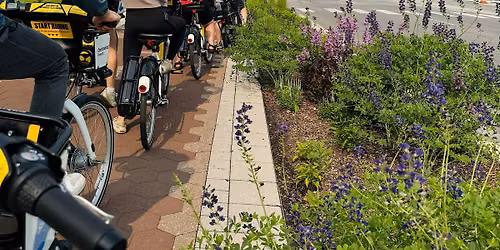 Blooms and Bikes