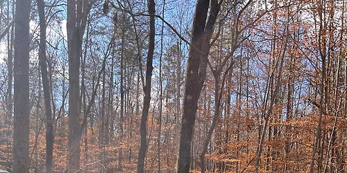 Day Ride at Kings Mountain State Park - Members Only- RIDE OUT 10:30 