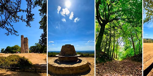 Surrey 3 Peaks Challenge | Challenging 27km Hike incl. Box Hill, Leith Hill