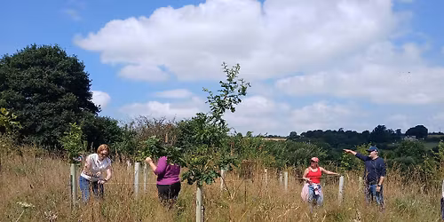 Woodland Surveying with Moor Trees