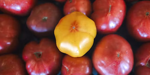 Daniel James, First Friday Artist Opening Night, Richmond Mudhouse