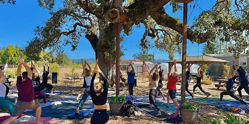 Outdoor Yoga with Live Music