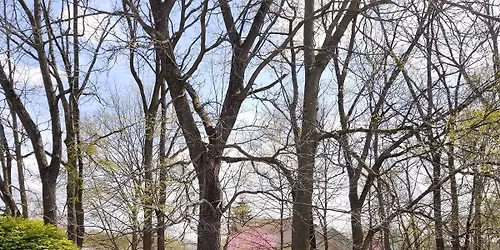 Spring Creek Annual Meeting