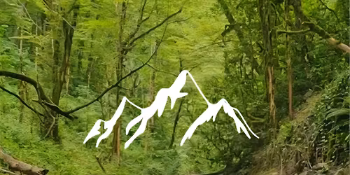 Reset, Refocus, and Realign