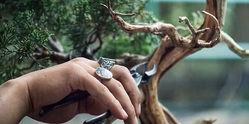 2 Day Bonsai Workshop