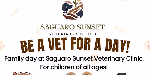 Be a vet for a day