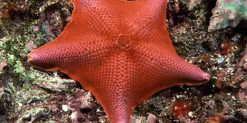 Sensory Friendly Afternoon